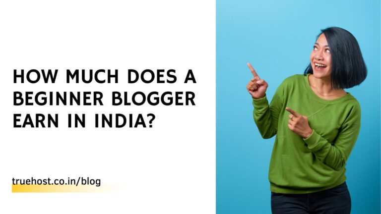 Blog 19 How Much Does a Beginner Blogger Earn in India?