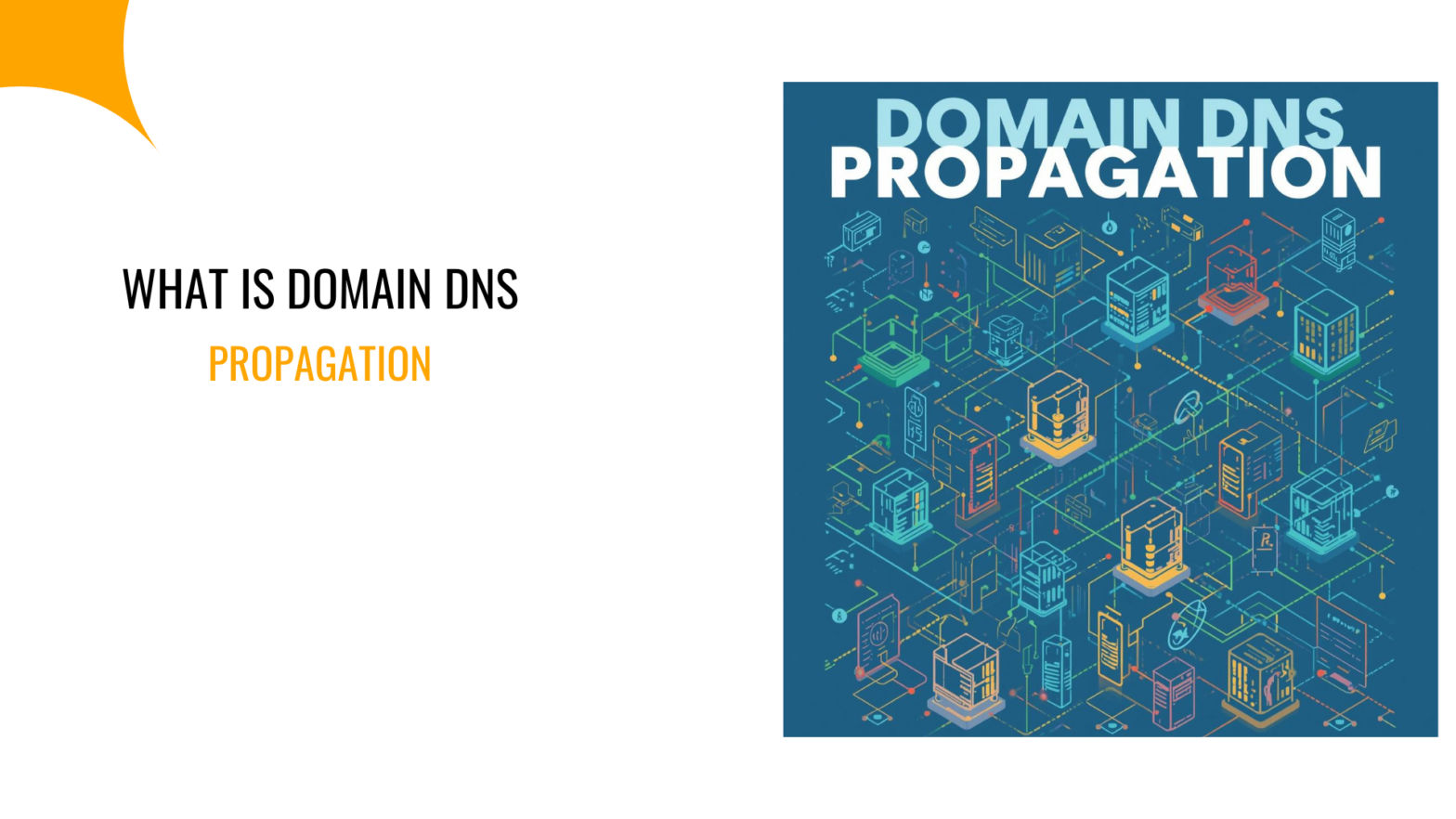 Domain DNS propagation