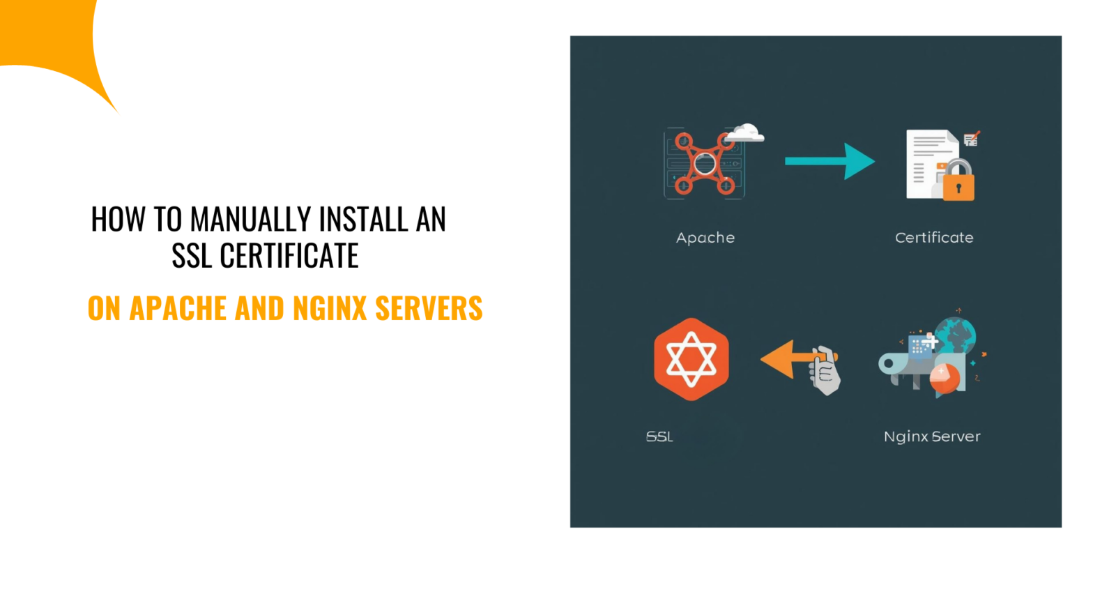 How to Manually Install an SSL Certificate on Apache and Nginx Servers