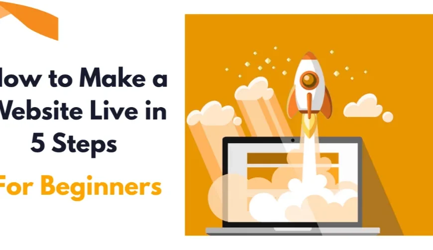 How-to-make-a-website-live